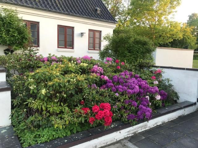 Dreamcenter Ballerup Boulevard Zewnętrze zdjęcie